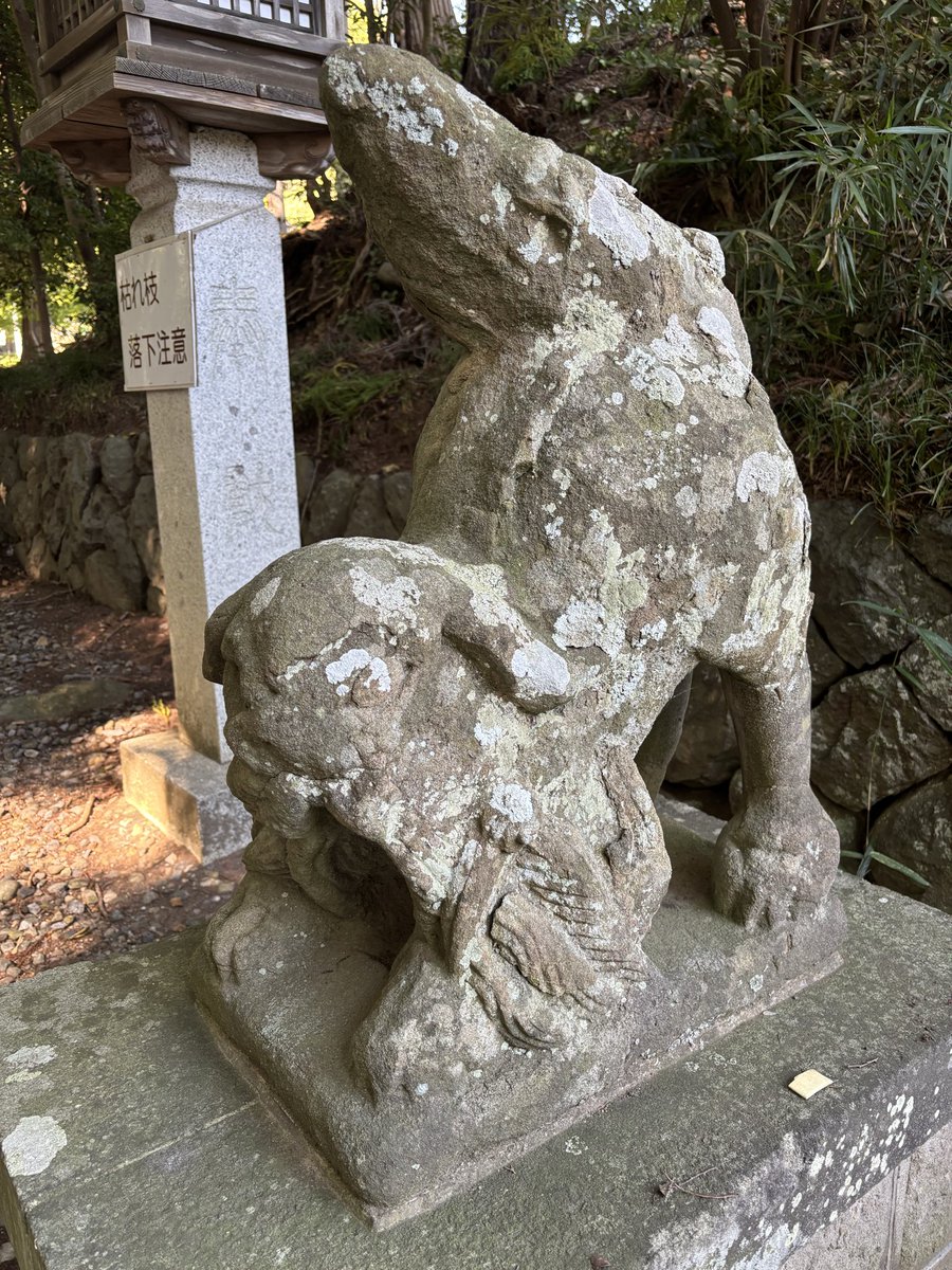 hanehane ①狛犬 阿吽 一対 石像 玄関先 庭 hanehane ①狛犬 阿吽 一対