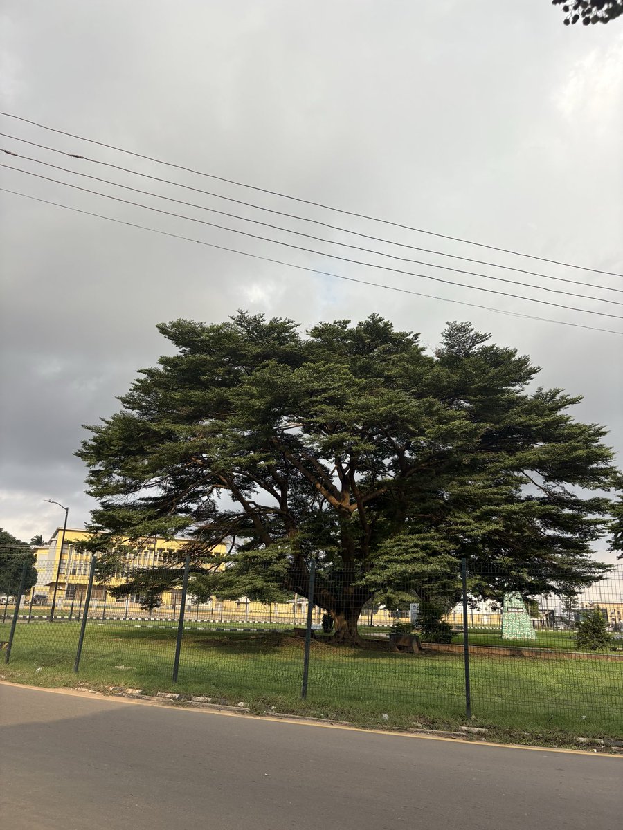 mayormaxi10's tweet image. GM, Web3 Legends
Happy Thursday!
A new day to explore @brevis_zk; the zk coprocessor network redefining how data is verified and computed across chains through zkProofs and verifiable execution.
Don’t forget to claim your testnet spark with Rainbow wallet.
zk Brevis! ⚡