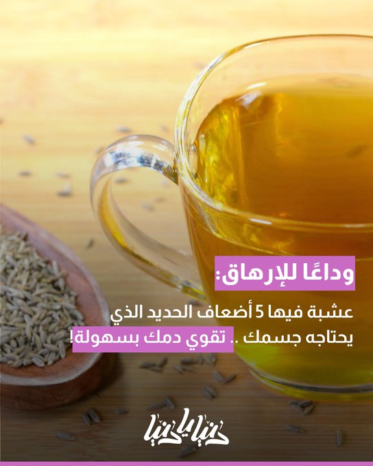 وداعًا للإرهاق: عشبة فيها 5 أضعاف الحديد الذي يحتاجه جسمك .. تقوي دمك بسهولة 