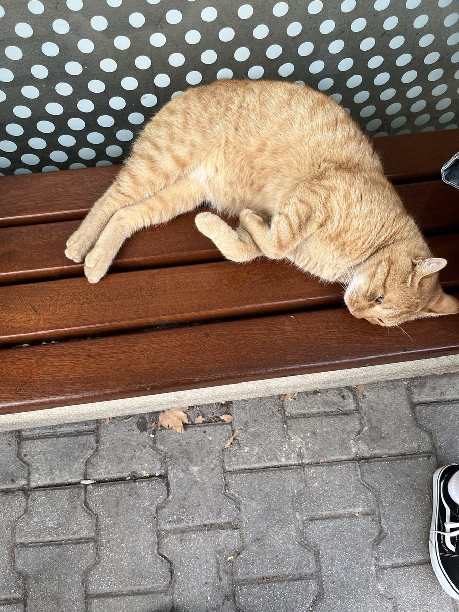 Büyüklere saygi hic kalmamis teyze ayakta beklio bu yayılmıs