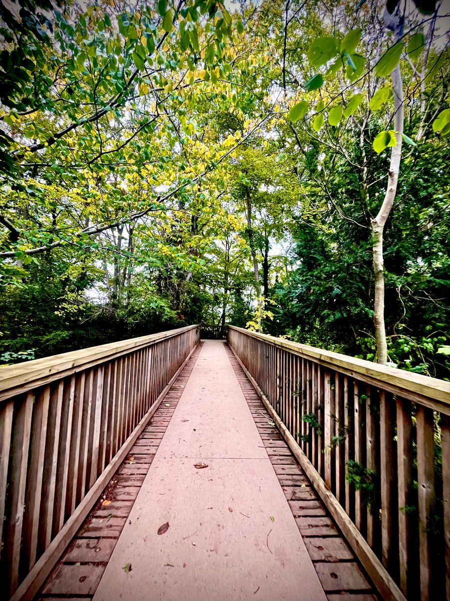 sw37xx's tweet image. A very good morning & happy Thursday to
you all…. Have a great day ahead! 💚💛💚
#NatureBeauty #NaturePhotography