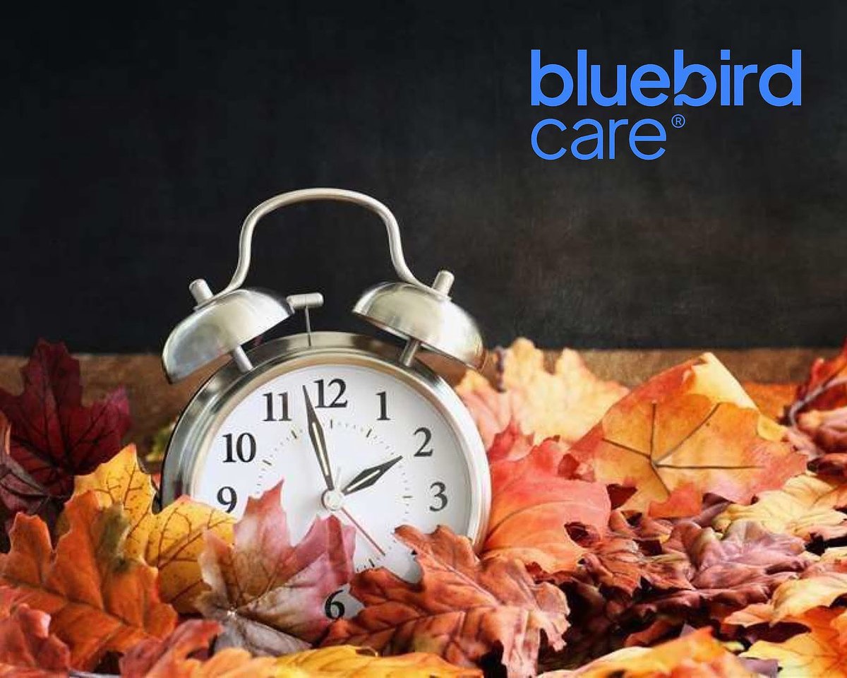 Bluebird Care (@bc_islington) on Twitter photo 