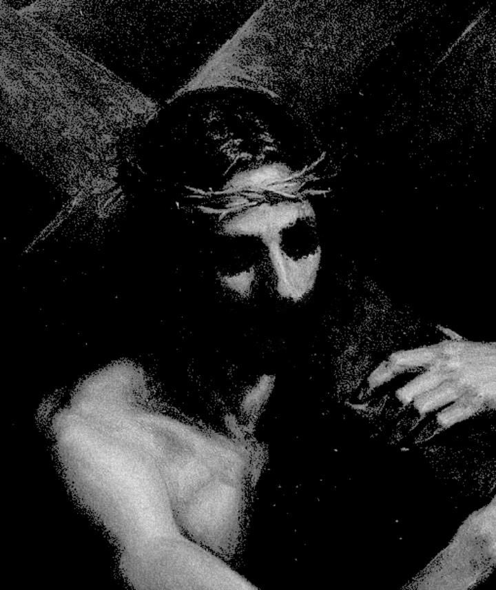 luna (@flosmallie) on Twitter photo 