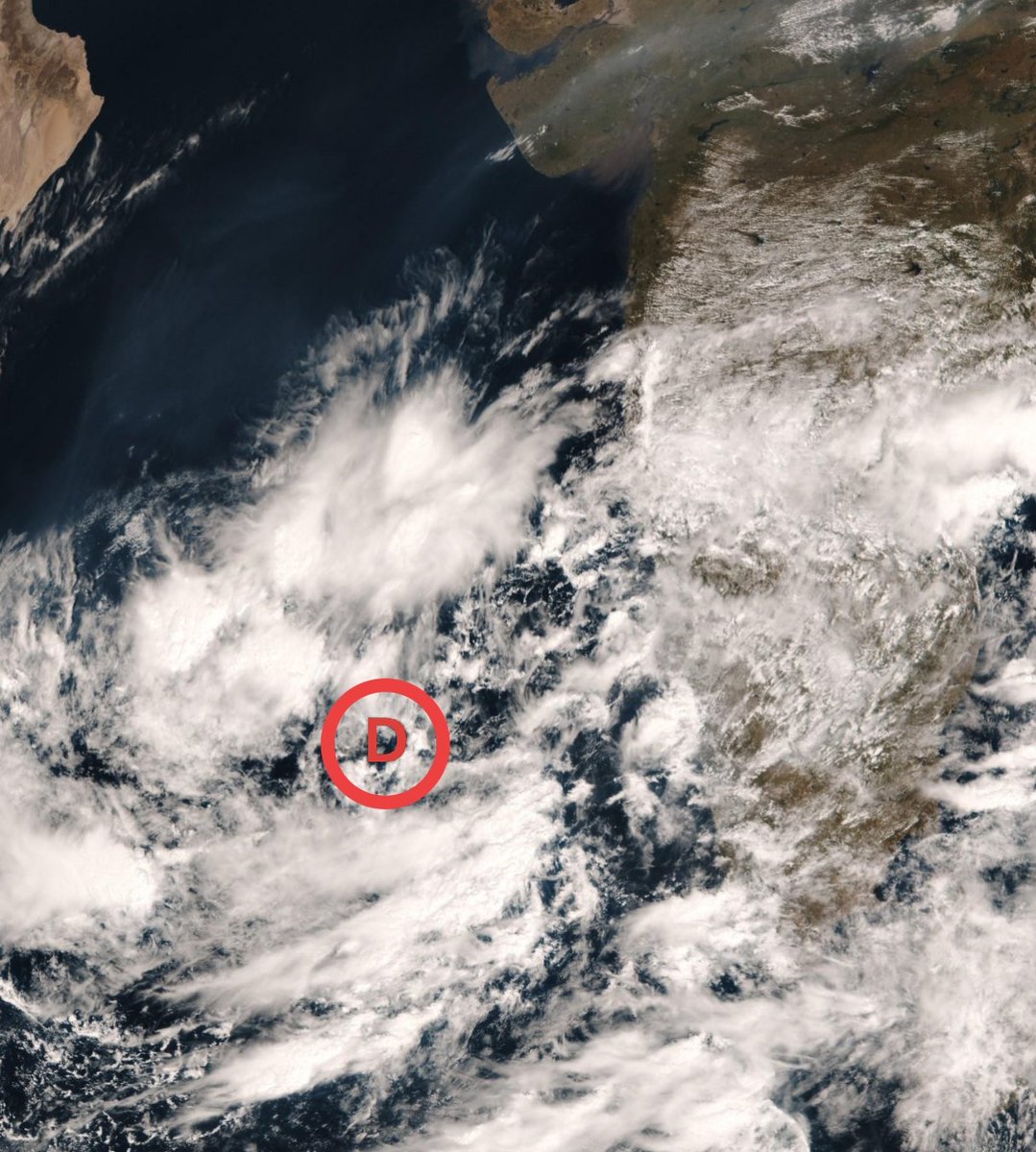 Athreya Shetty 🇮🇳 tweet media