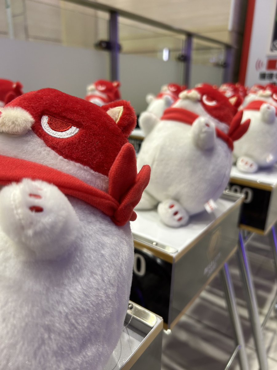 にゃんまる散歩 - Search / X