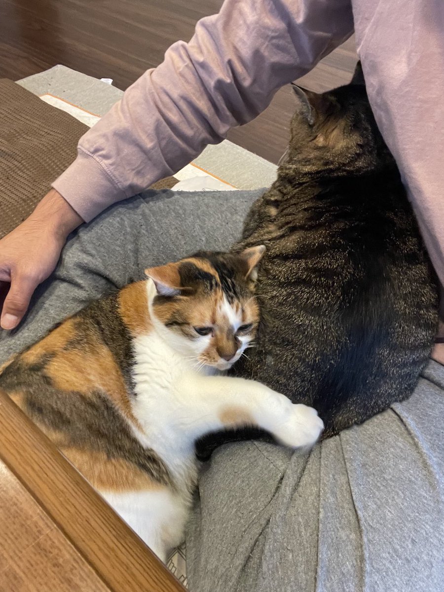 最近よくモテます