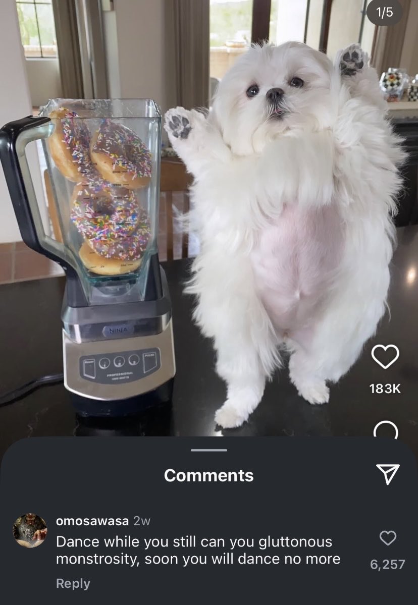 Average fatspo thread with commentary