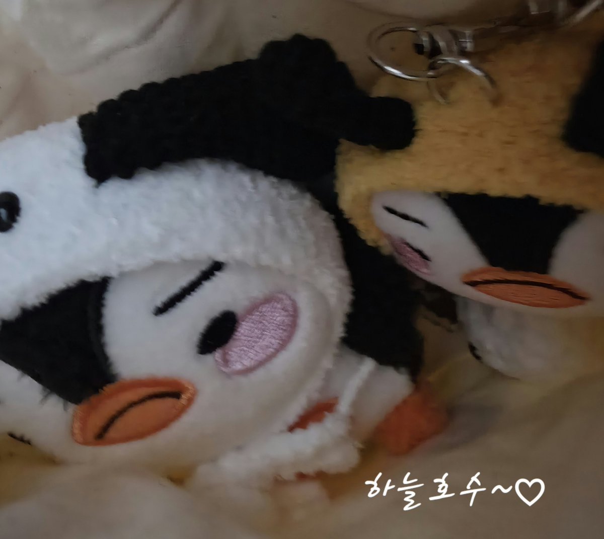 changes0125's tweet image. ๊บ์์์
..๋ ๊ท์ฌ์๐
ํ์ฐ์น์ ์์ฅ..๋~ ๊ฐ์ด ๋ค๋๋๊ฑฐ์ผ๐
@jxuxnxhxo ์ ๋ฌผ ๊ณ ๋ง์์..๐ซถ๐ซถ๐ซถ
์ข
์ด์ค๋น ๋ ๋ค๋ฆผ์ง ์ค...๐คญ๐คญ