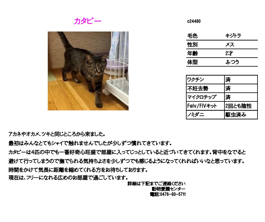 あっぴい☻様　　ご相談 meg8888 on X