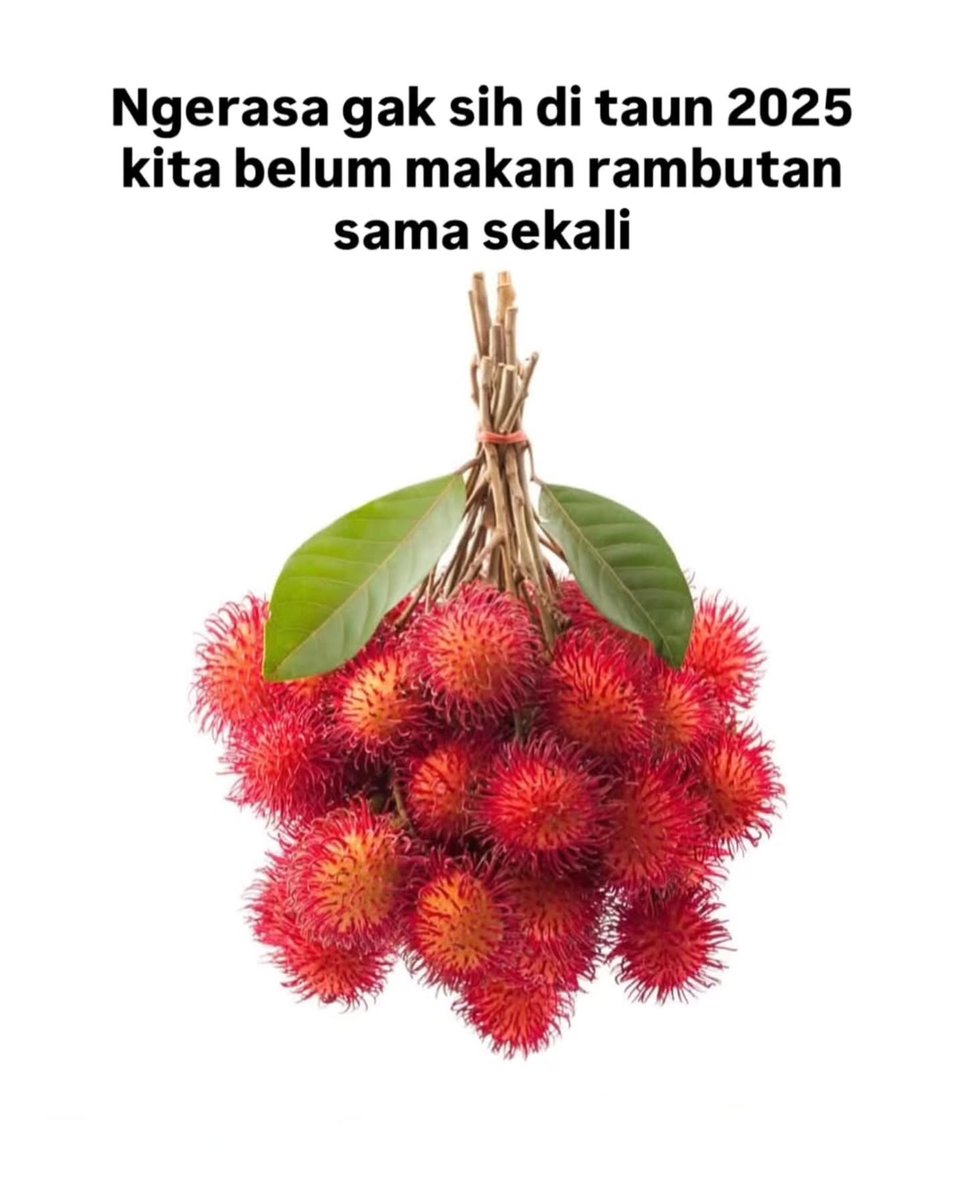 tokopedijee's tweet image.