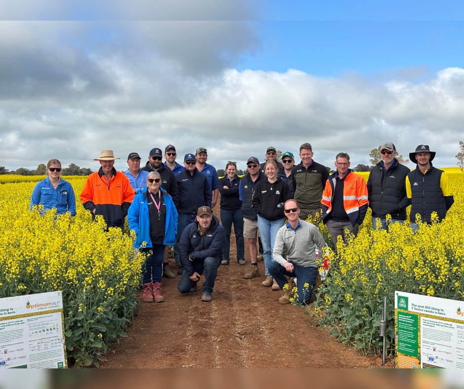 Some of the Pioneer® Seeds research team recently visited the STRIKE (Seed Technology Research In Key Environments) site at Temora NSW, where they discussed future projects and the promising hybrids progressing through the program.
