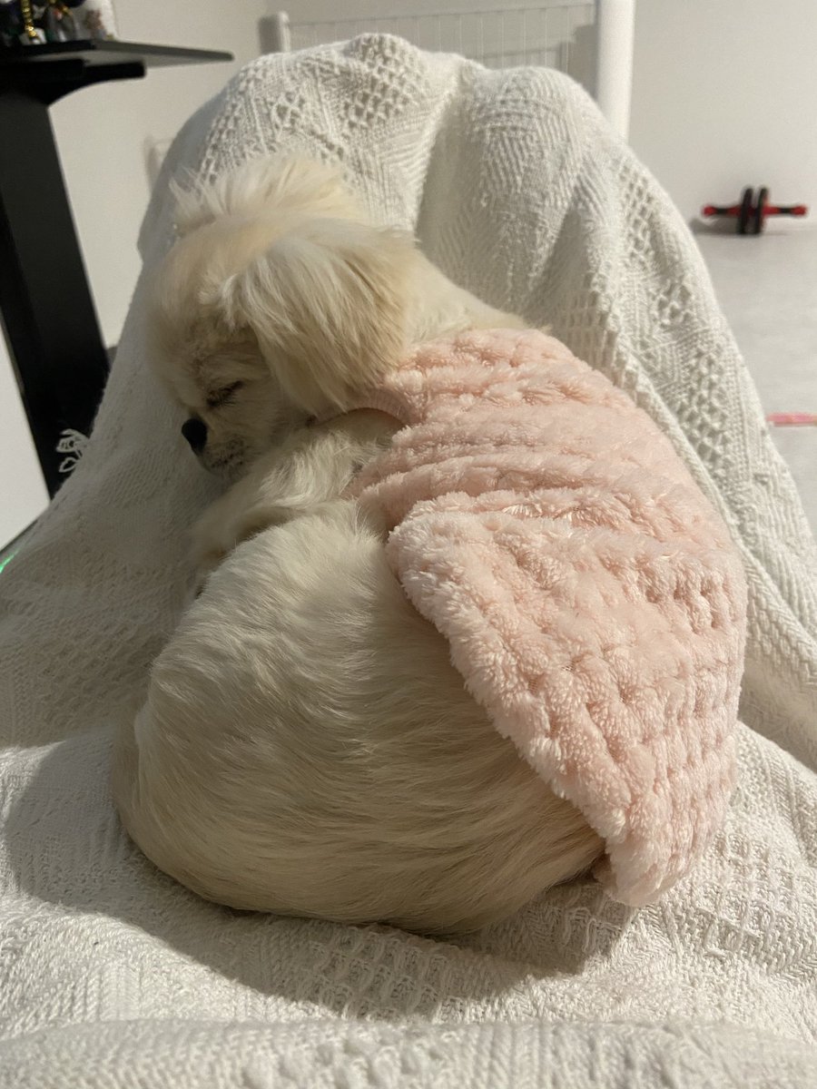 レベルム (@6pwC8ZPLg336887) / Posts / X