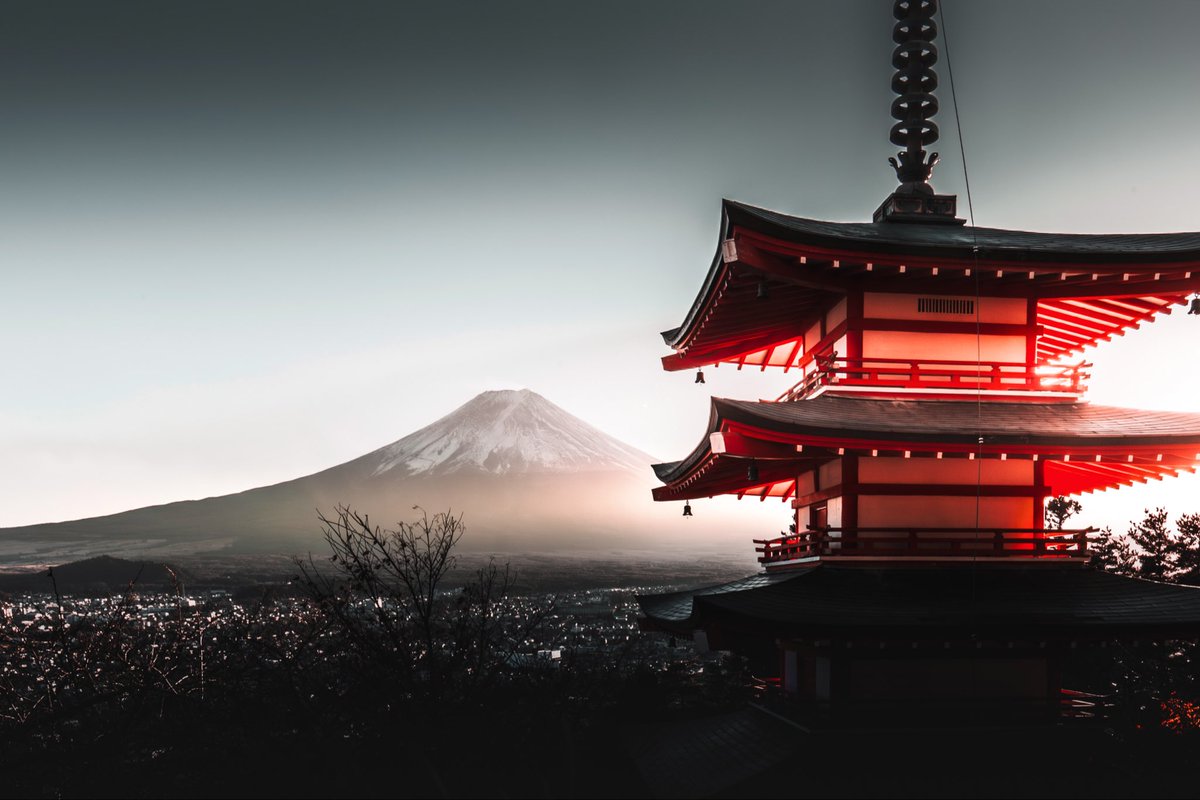 Franz-Renan Joly フルジ写真 tweet media