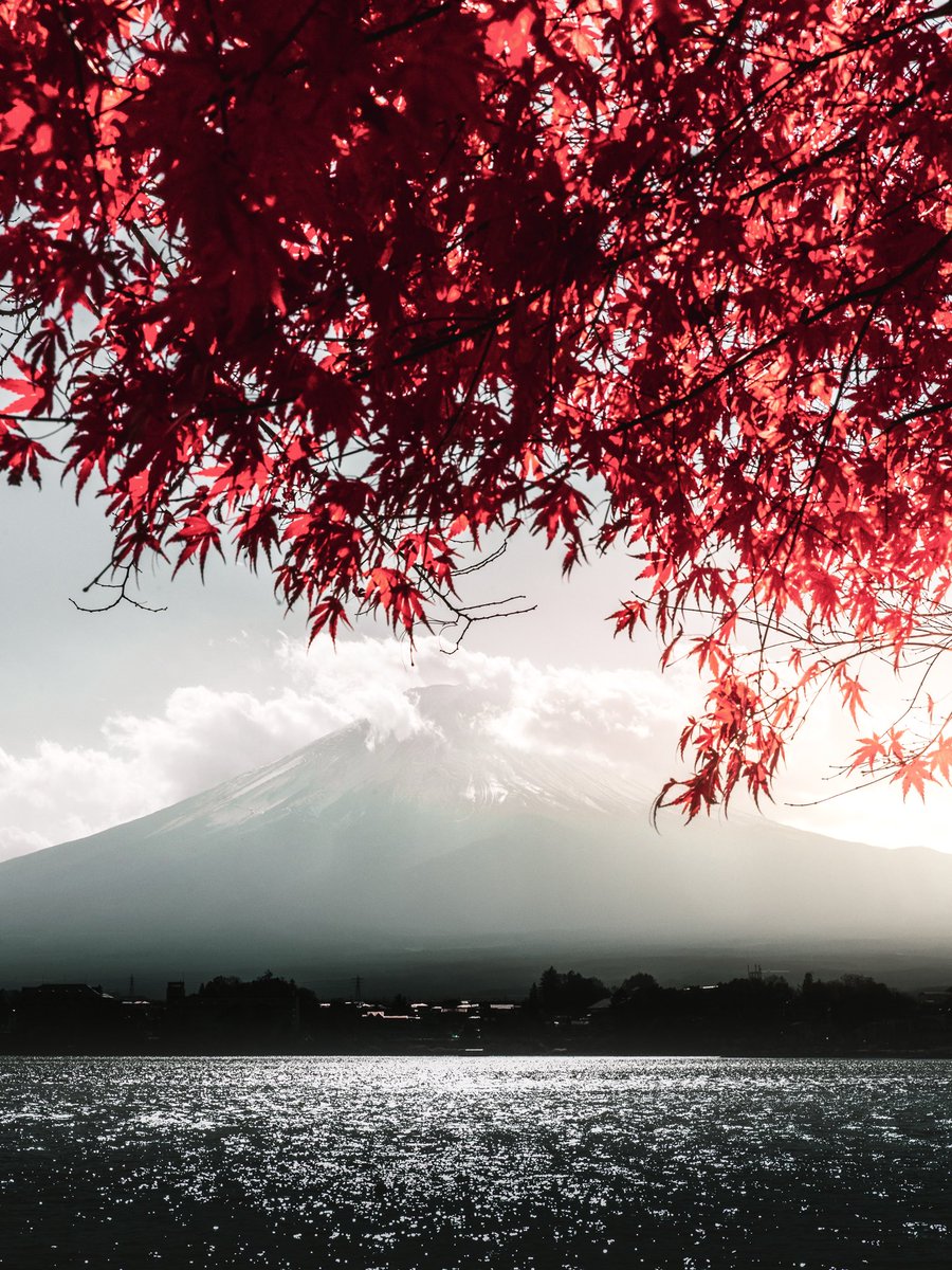 Franz-Renan Joly フルジ写真 tweet media