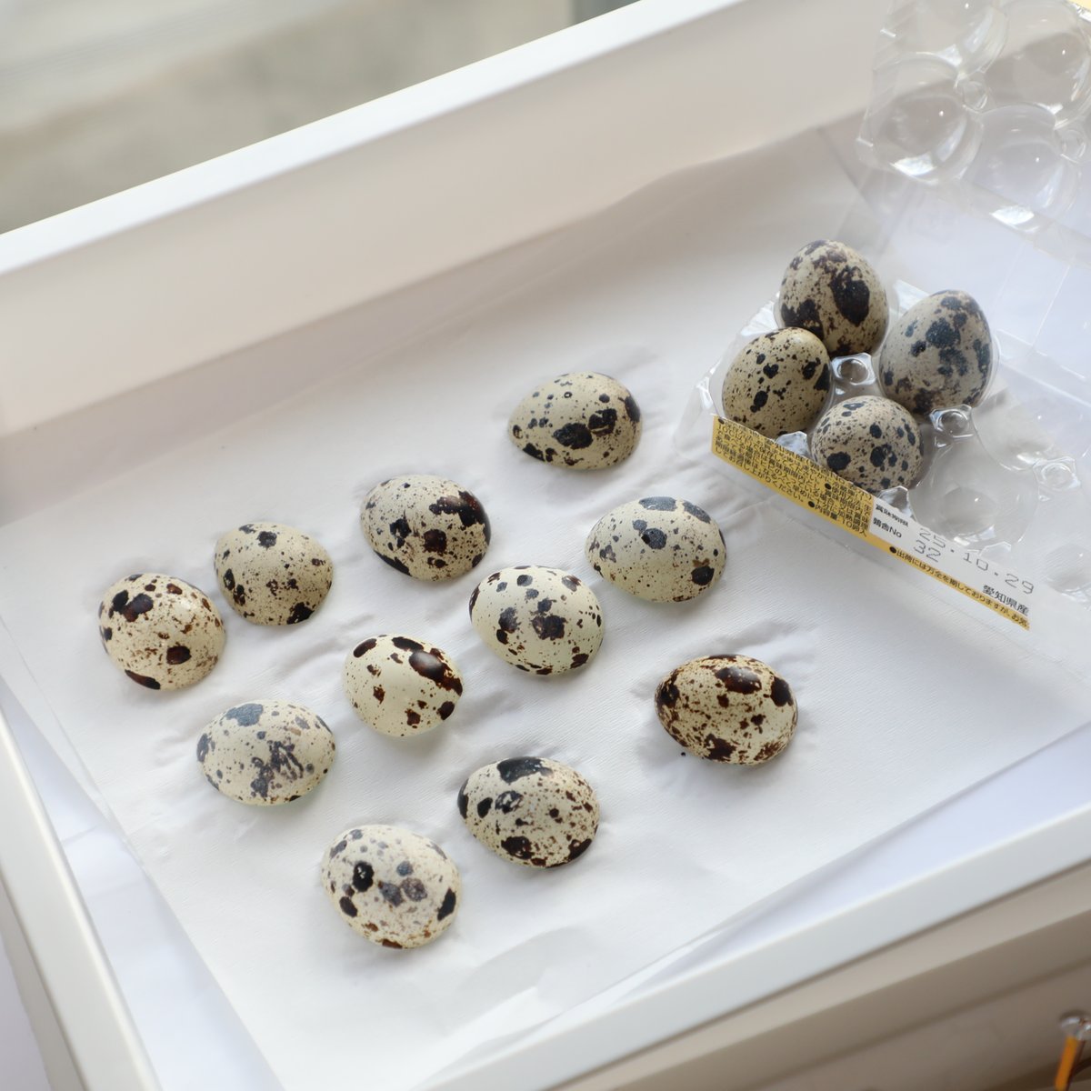 ニケルxpは11/15,16デザフェス62両日K-269 on X