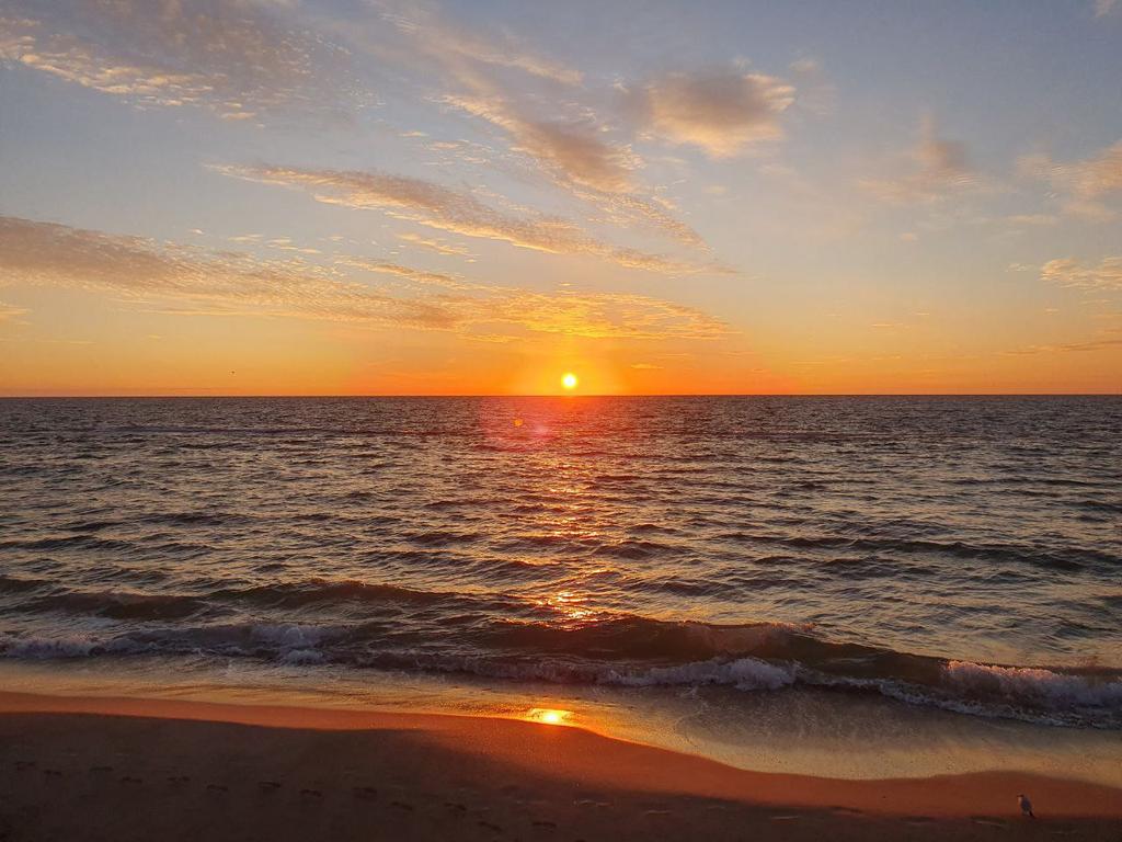 Катерина Галич tweet media