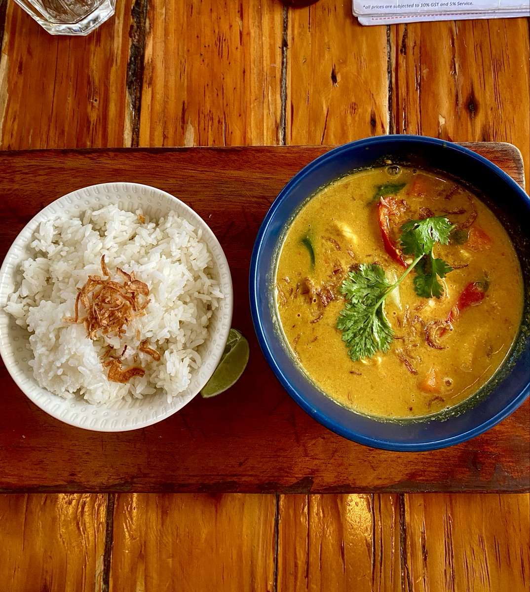 begging y'all to show me what you guys eat for lunch because I love looking at food and yapping and my parents are just giving me thumbs up in the group whatsapp 👊👊 I had an oreo milkshake and an indonesian chicken curry!!