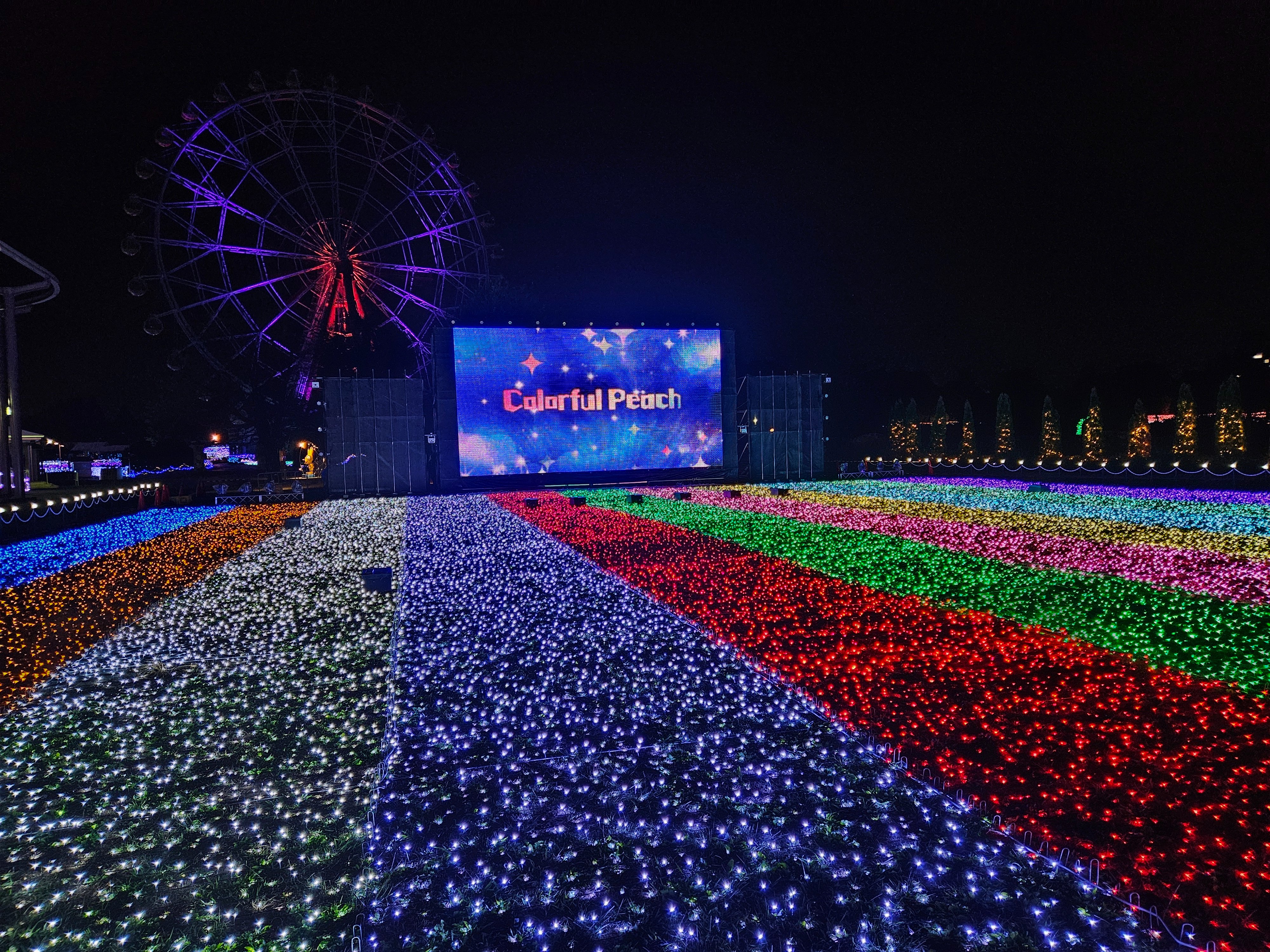 ｶﾗﾌﾙﾋﾟｰﾁ - Search / X