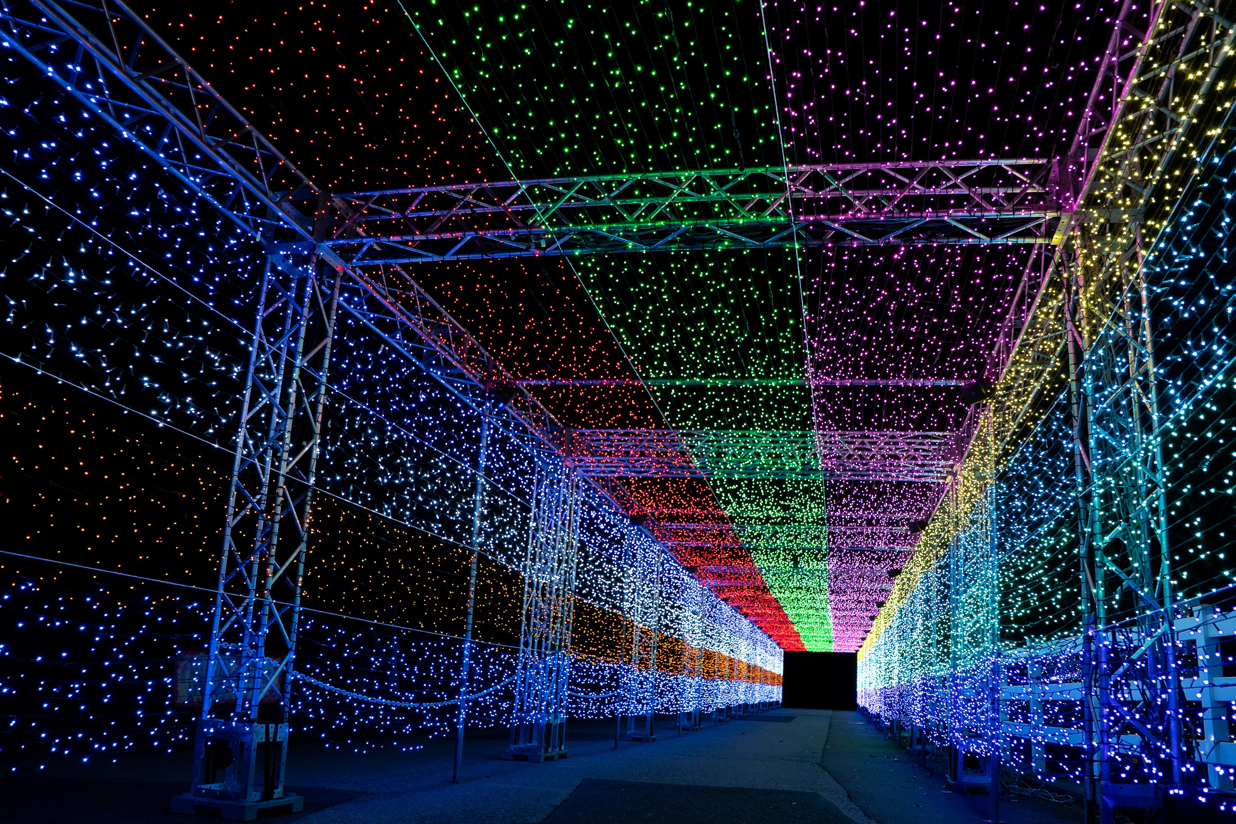 ｶﾗﾌﾙﾋﾟｰﾁ - Search / X