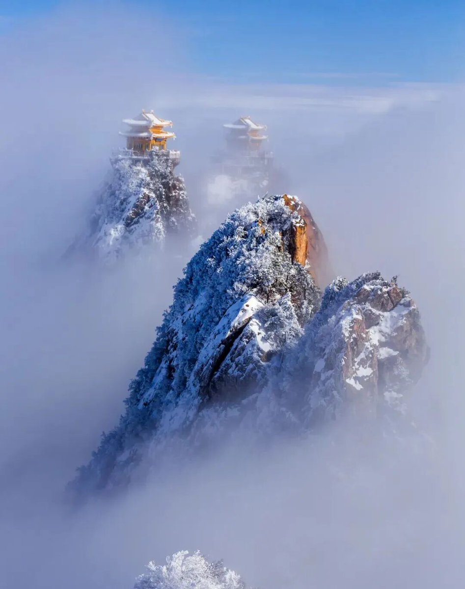 inLuoyang tweet media