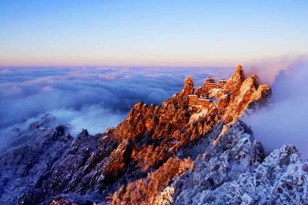 inLuoyang tweet media