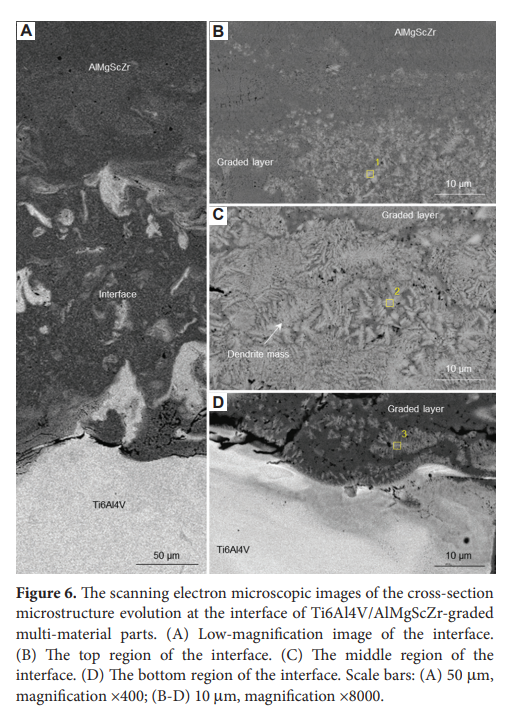MSAM_ASP's tweet image. 🌟 Editor's Pick
Prof. Dongdong Gu’s group (NUAA) explores graded Ti6Al4V/AlMgScZr multi-materials fabricated via Laser Powder Bed Fusion (LPBF).
🔗 doi.org/10.36922/msam.…
#AdditiveManufacturing #LPBF #FunctionallyGradedMaterials #TitaniumAlloy #MaterialsScience