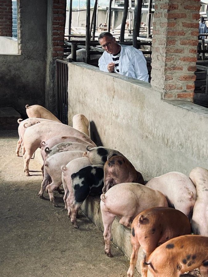 The BIGGEST Mistake Farmers Make When Feeding Piglets

Feeding piglets might look simple — pour some feed in the trough and watch them eat, right?
❌ Wrong!

This is one of the most critical management stages in pig production, and many farmers unknowingly make serious feeding