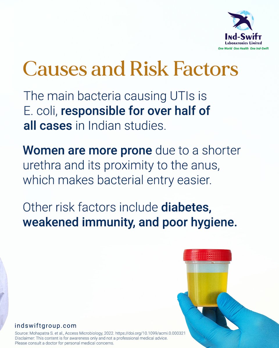 indswiftlabs's tweet image. Urinary Tract Infections (UTIs) - especially in women - but early care and simple hygiene steps can make a big difference.

🌐 Visit us: indswiftgroup.com
📌 Follow us: Facebook | LinkedIn | Twitter | Instagram

#UTIAwareness #WomensHealth #IndSwiftGroup #IndSwiftLabs