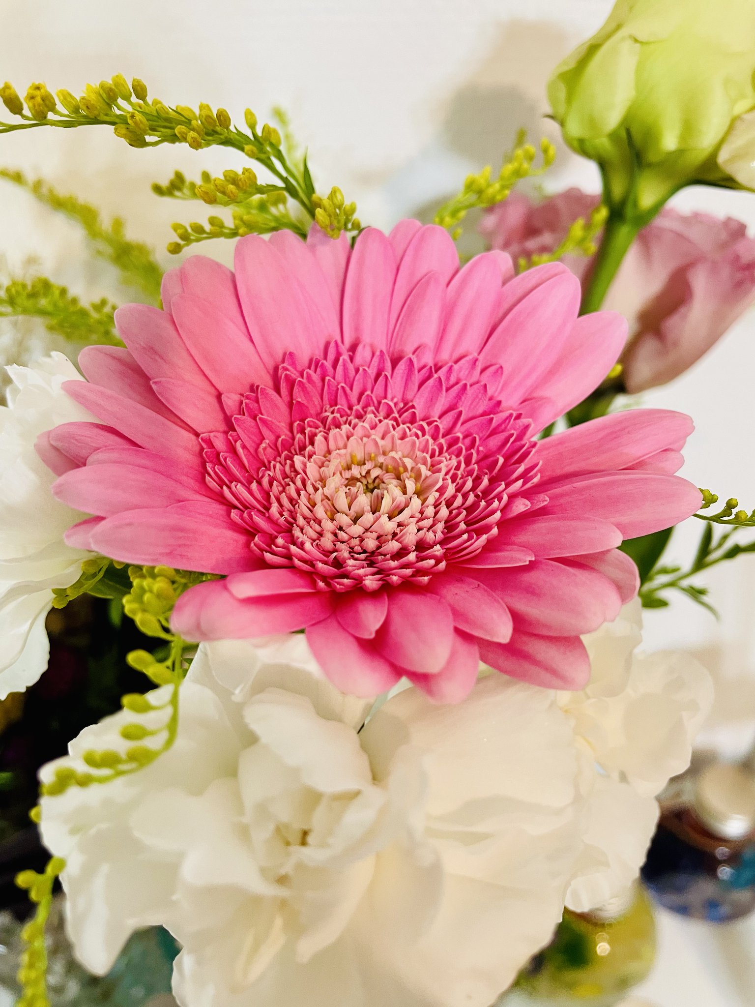 ラ*ク様 ☘️スペシャルイベント☘️♈️ 890 【⭐️⭐️⭐️キラキラ輝き花弁 株式会社青葉🍀 on X: 