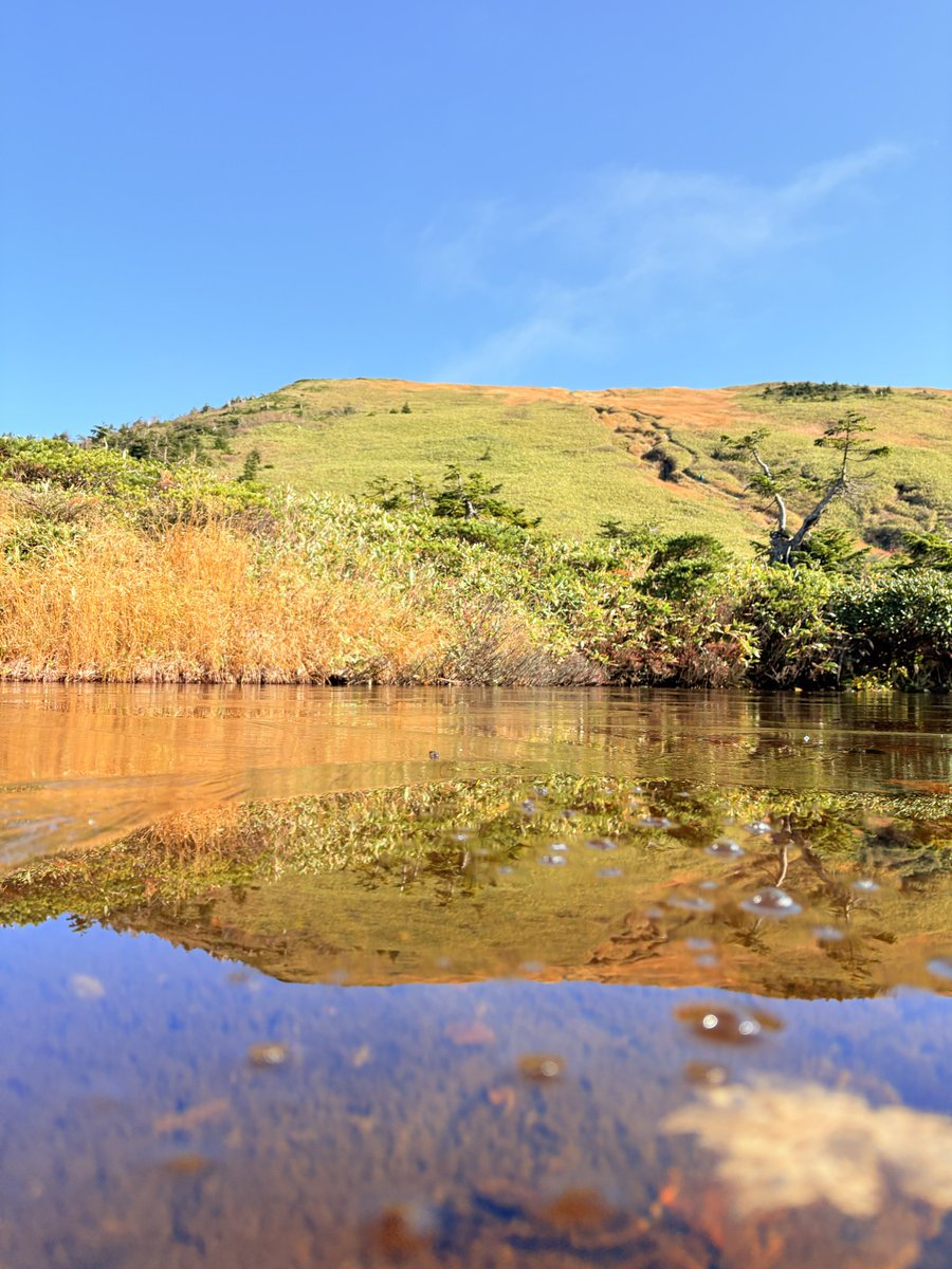 ひろ太郎‼️ こんたろう on X
