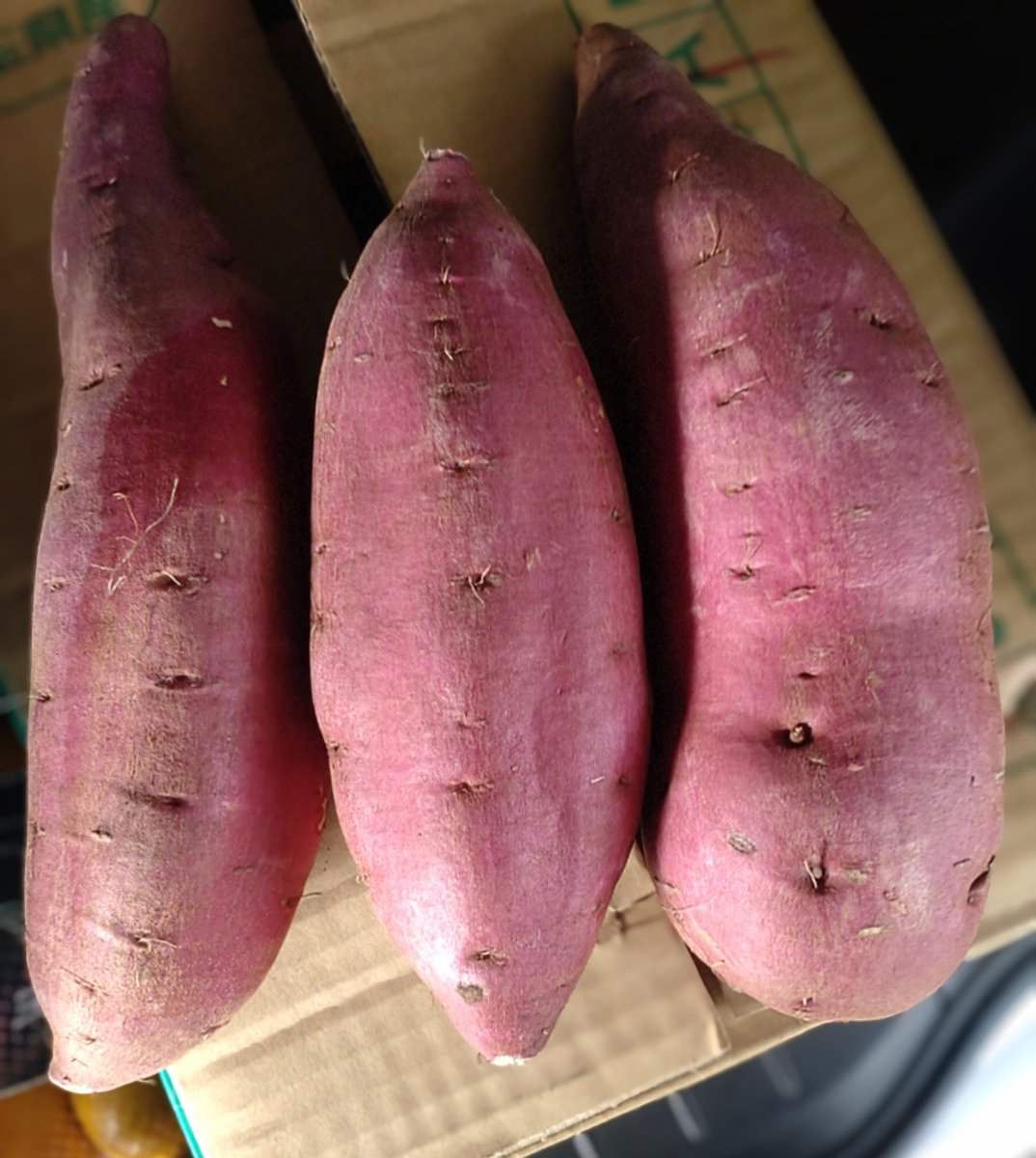 やきいも🍠しようかなと思って買ったらちょっと大きすぎた🥺