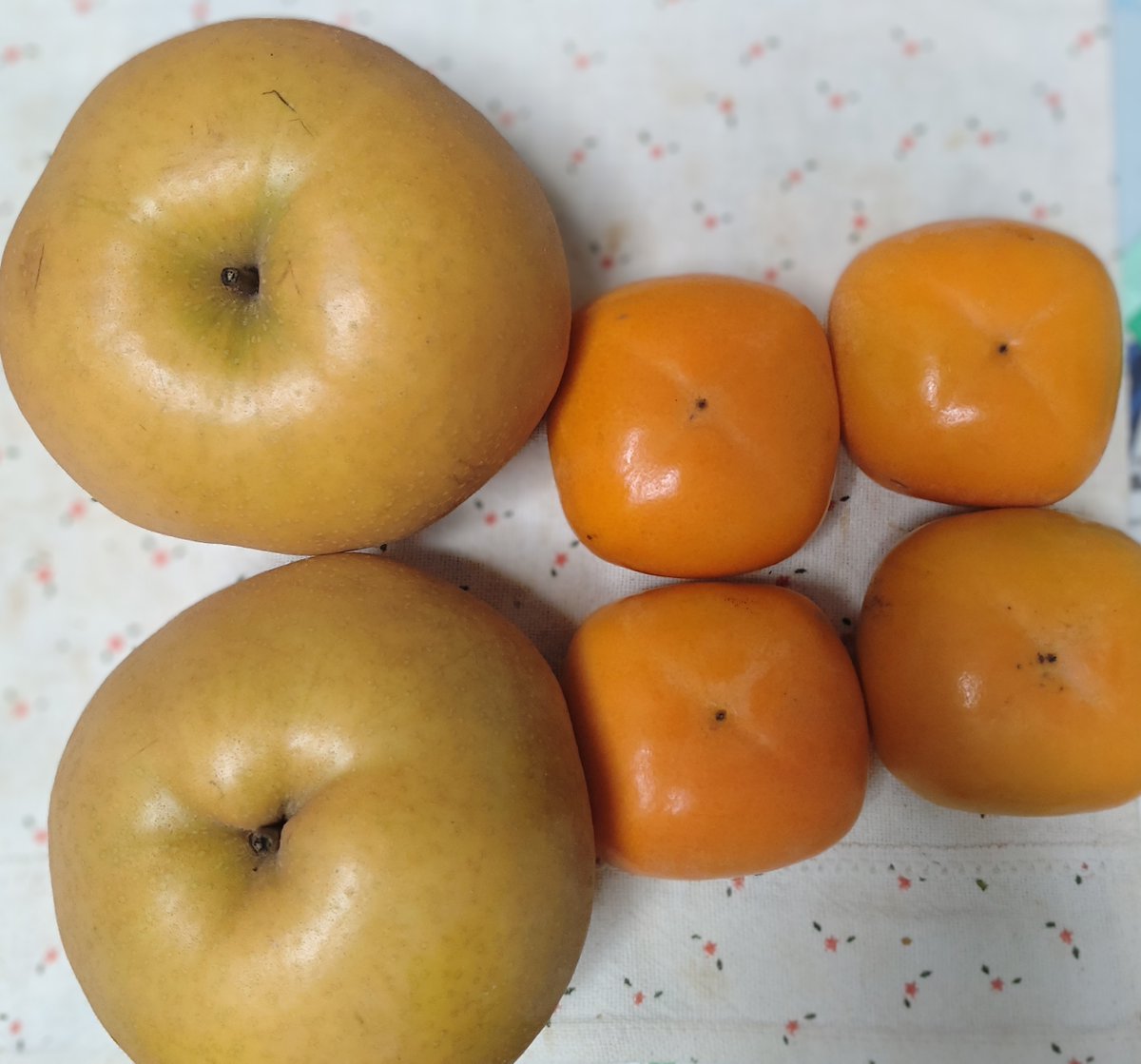 秋なので
ぜいたくする🥝
本当は一緒にたべたいお年頃