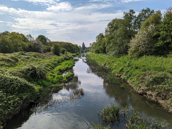 The project will be delivered through working with key partners from the Roding, Beam and Ingrebourne catchment partnership including the London boroughs of Redbridge, Newham and Barking &amp; Dagenham, the Environment Agency, the River Roding Trust and the Roding Farm Cluster.⬇️