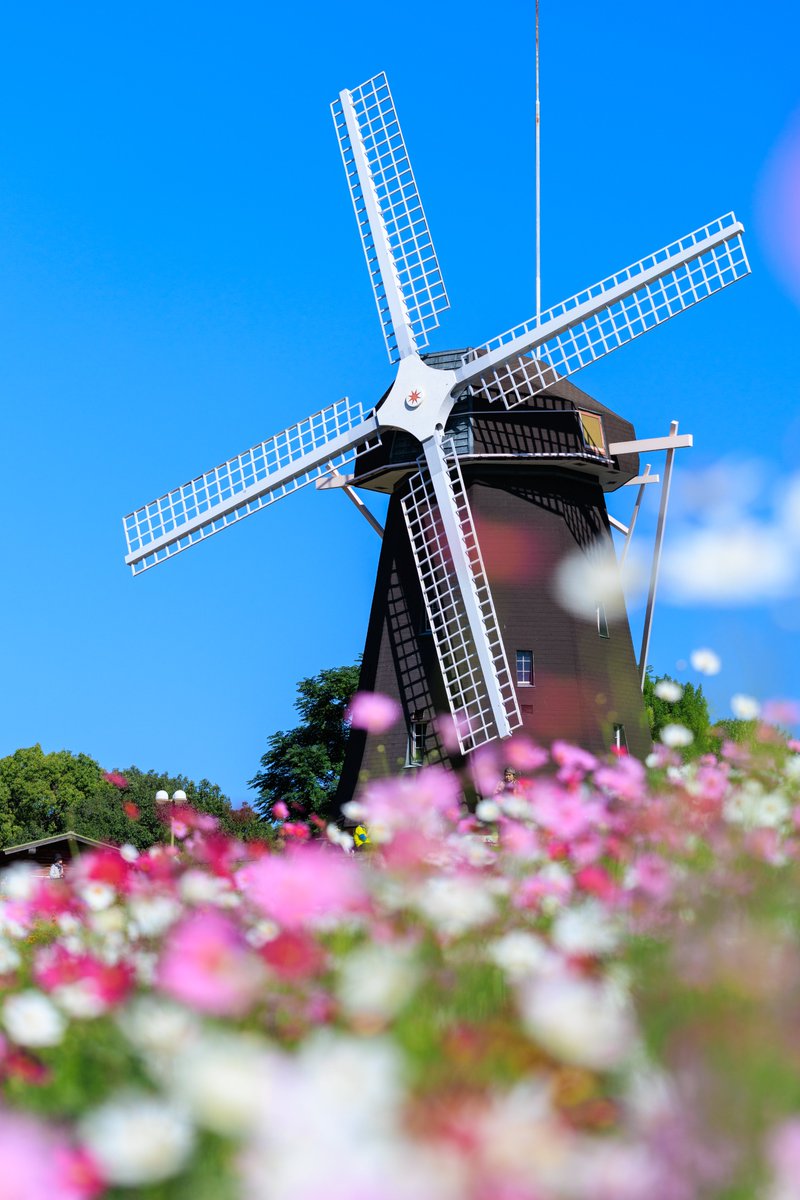 ららら♪📸🕊𓂃𓂂𓏸♡ (@rarara1818184) / Posts / X