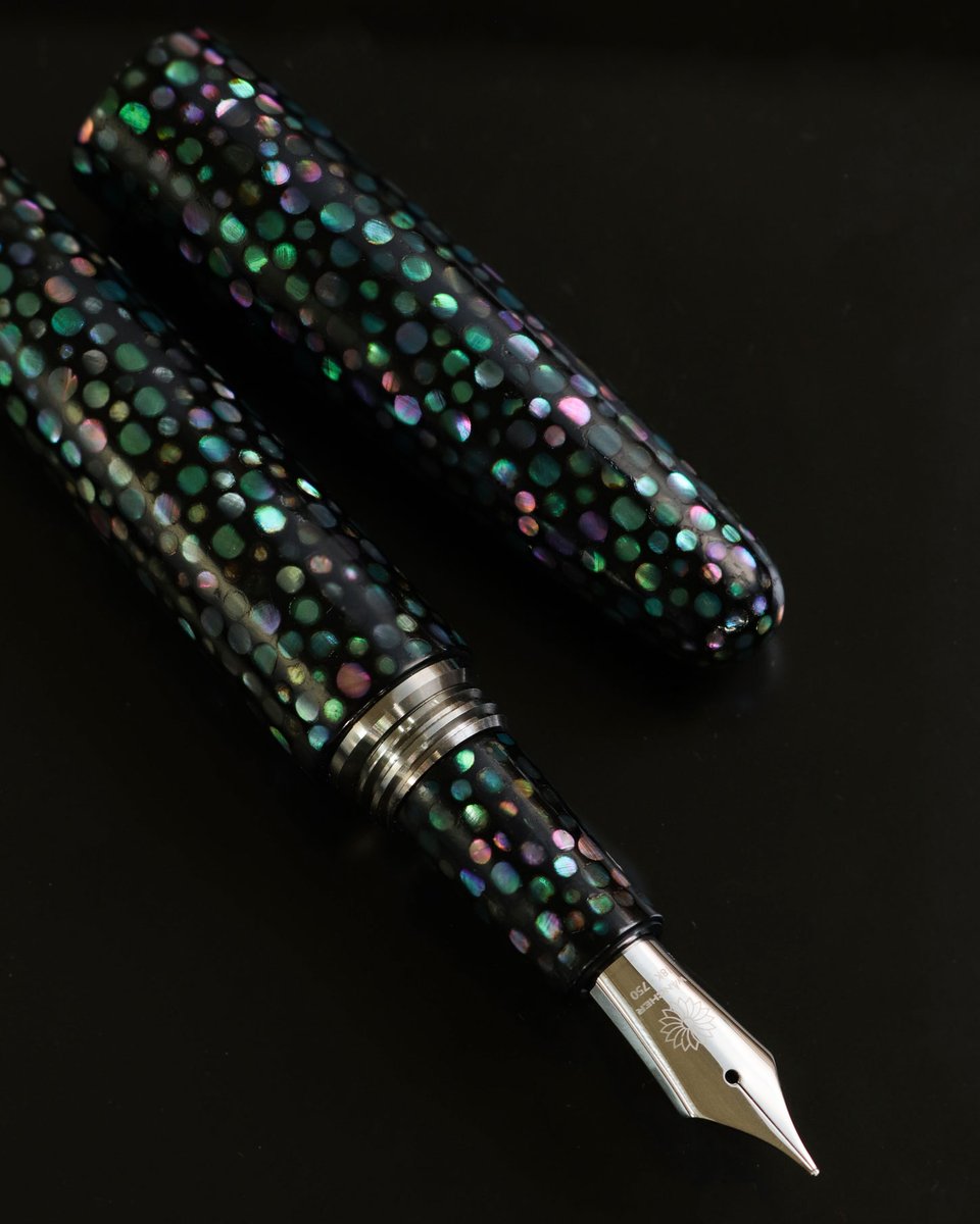 美品　法螺貝　直線36.7cm 蓋付　天然そのまま色 法螺貝・歌口付 サイズ35cm-37cm 真言タイプ | 鳴り物,法螺貝 通販なら