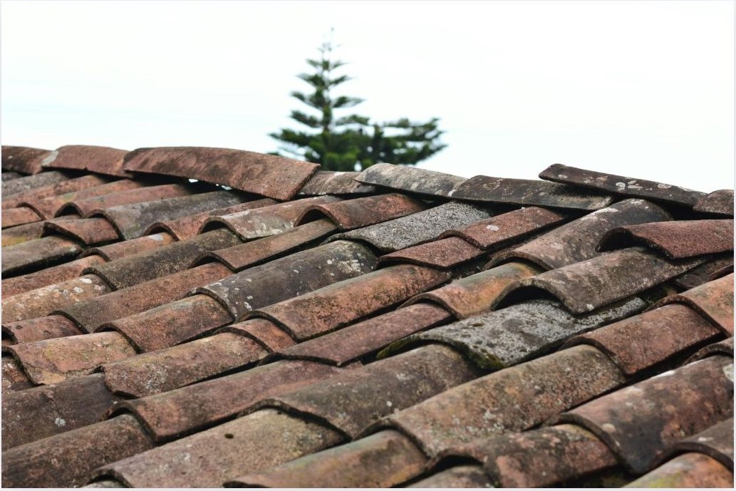 #artvin #yusufeli #esenyaka #zorköyü #kiremit #eskiusül #oluklukiremit #kiremitkalıbı 
Kimse artık bu kiremitten yapmıyor ustalar öldü kalıplar yetim kaldı