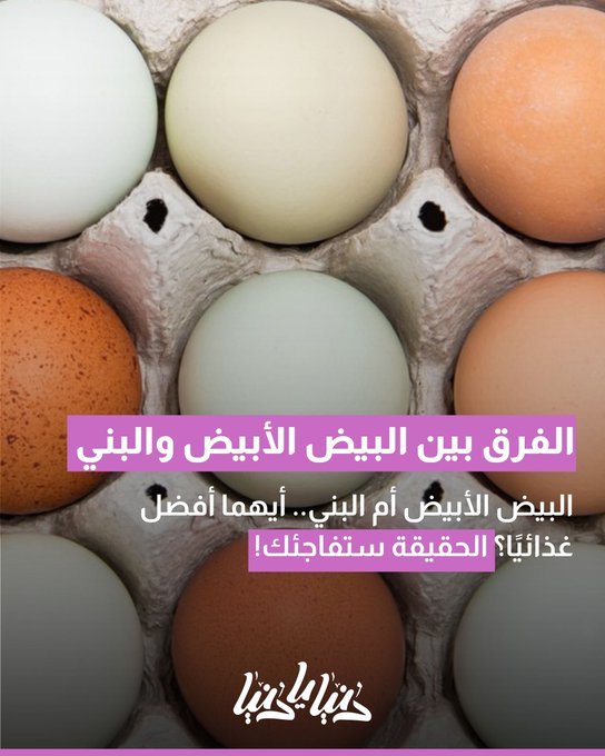 البيض الأبيض أم البني.. أيهما أفضل غذائيًا؟ الحقيقة ستفاجئك 