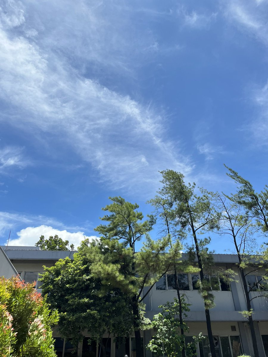 Minamine tweet media