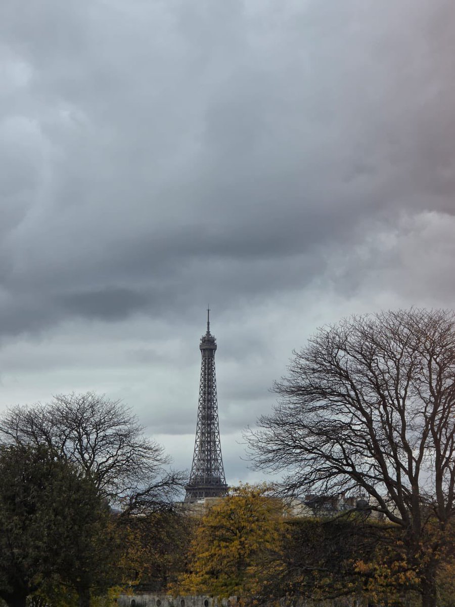 Minamine tweet media