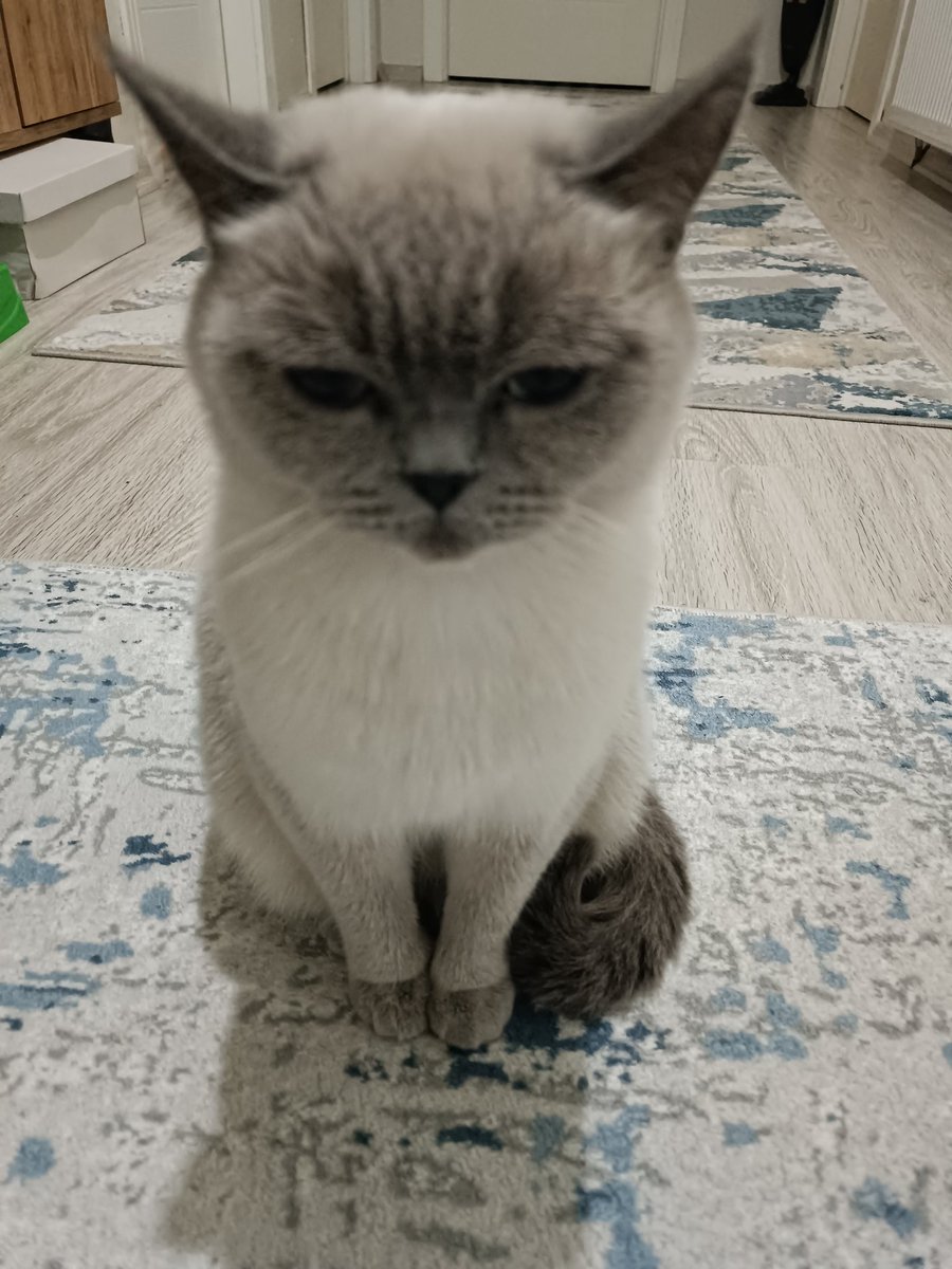 İşe gidiyorum diye yüzünü döktü ne yaptıysam kafasını kaldırıp bakmadı 😟