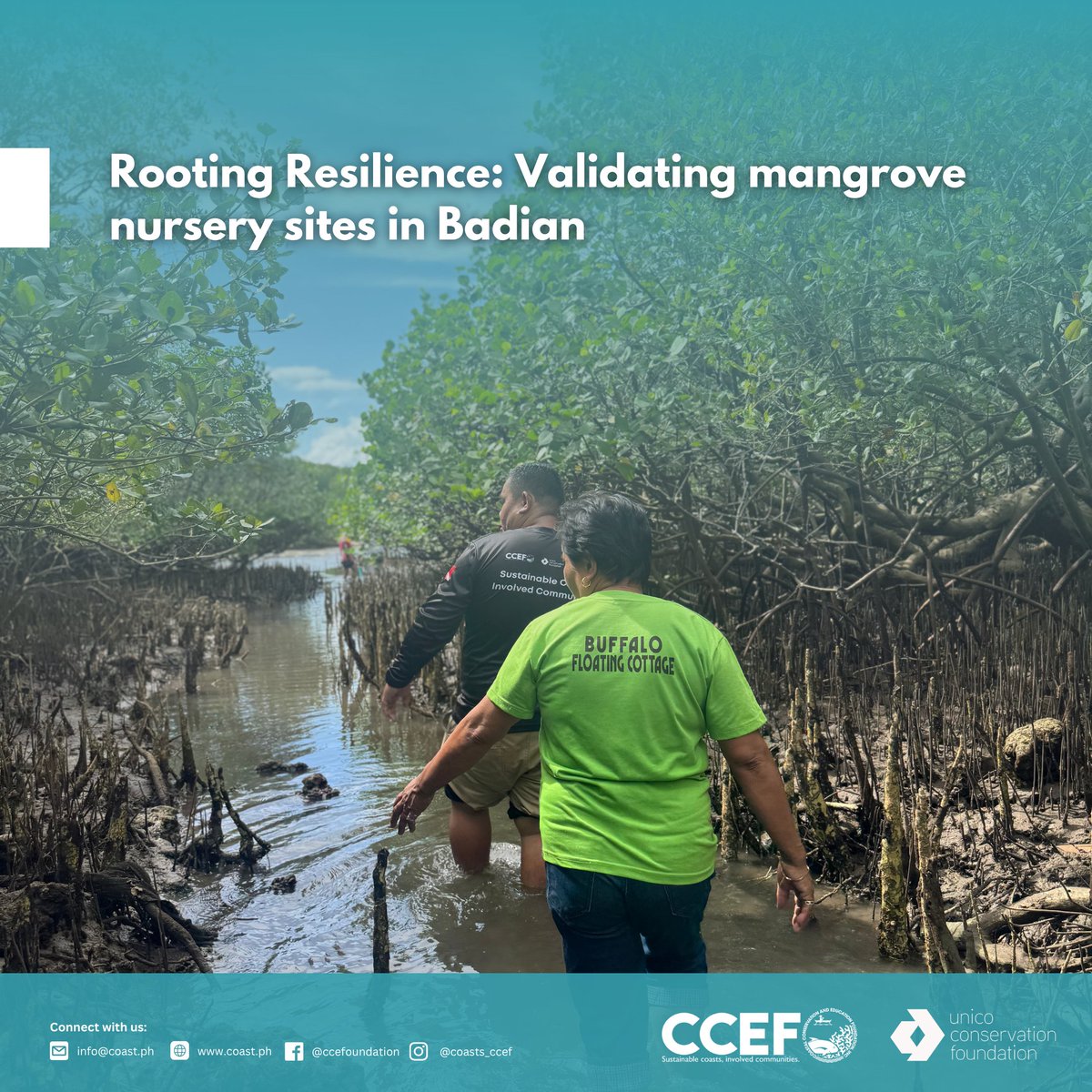 CCEF_PH's tweet image. October  14–15, 2025 | Brgy. Bugas, Badian, Cebu - CCEF and LGU Badian conducted a Site Validation Activity, identifying areas for Mangrove Nursery Establishment NMCLAP, a project funded by the Unico Conservation Foundation.

𝘙𝘦𝘢𝘥 𝘮𝘰𝘳𝘦: coast.ph/.../rooting-re…