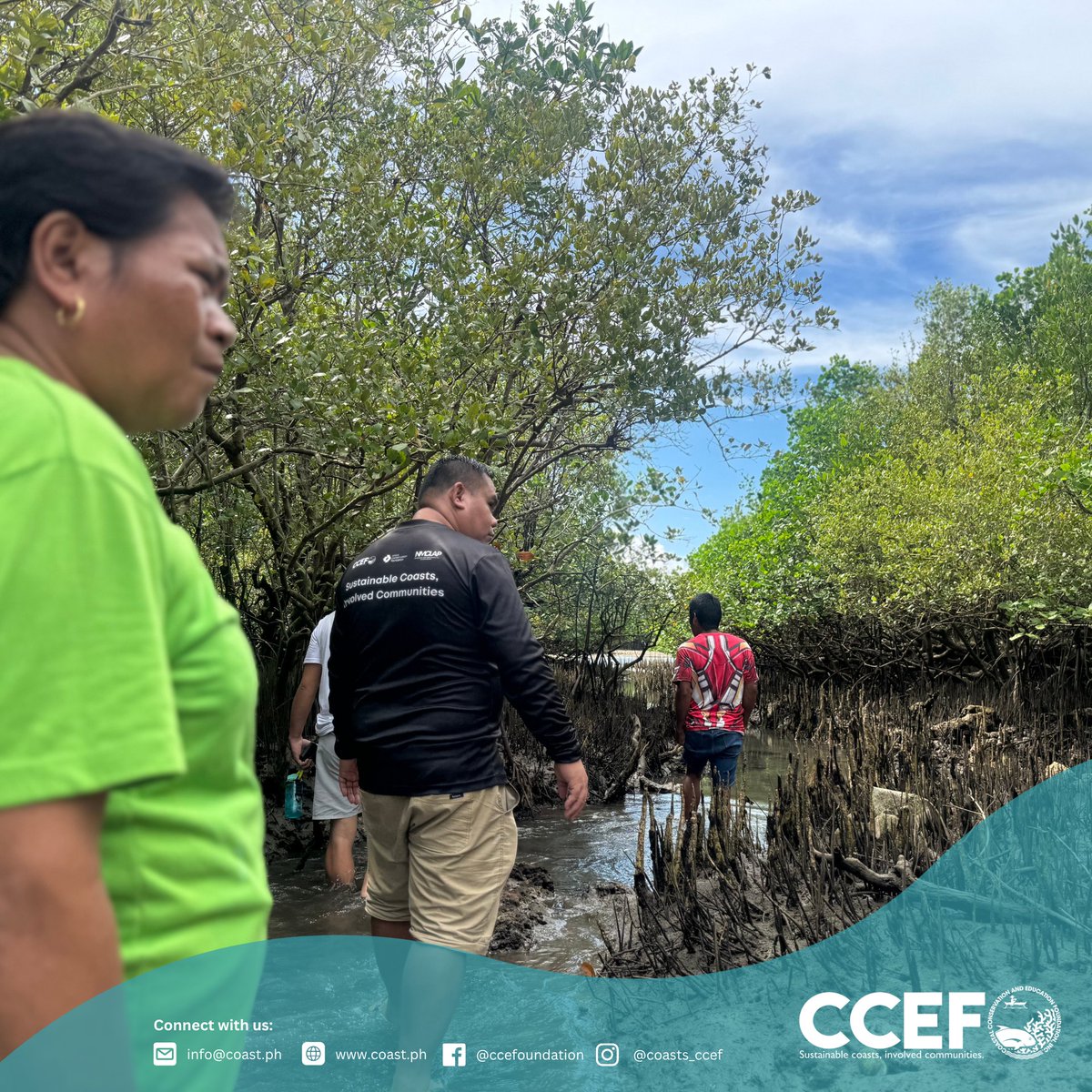 CCEF_PH's tweet image. October  14–15, 2025 | Brgy. Bugas, Badian, Cebu - CCEF and LGU Badian conducted a Site Validation Activity, identifying areas for Mangrove Nursery Establishment NMCLAP, a project funded by the Unico Conservation Foundation.

𝘙𝘦𝘢𝘥 𝘮𝘰𝘳𝘦: coast.ph/.../rooting-re…