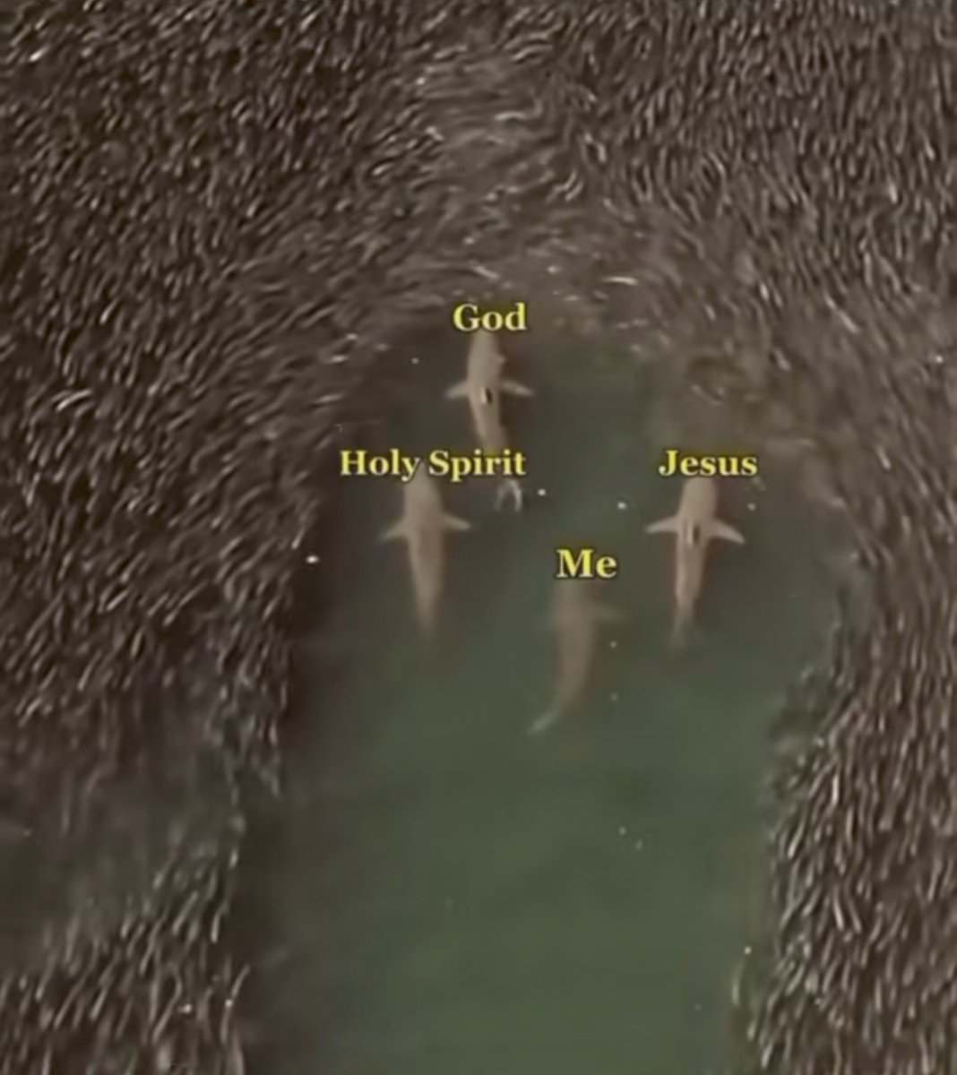 TheRich_Gospel's tweet image. Surrounded by His protection...