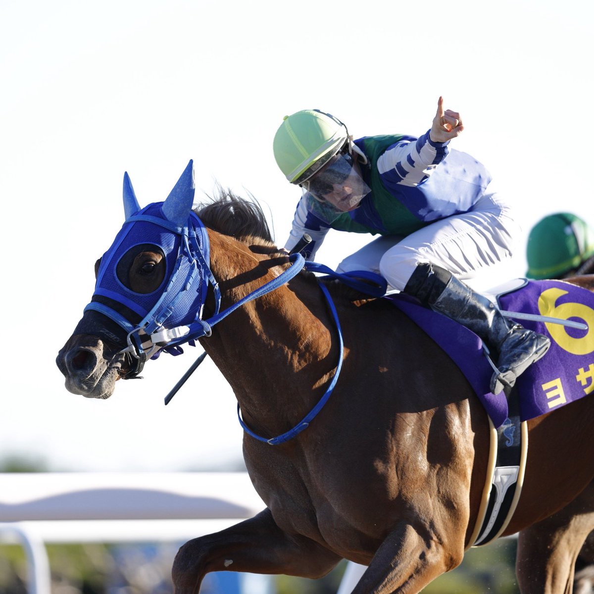 競馬場からのお便り】 笠松10Rネクストスター笠松(重賞)はヨサリが中団