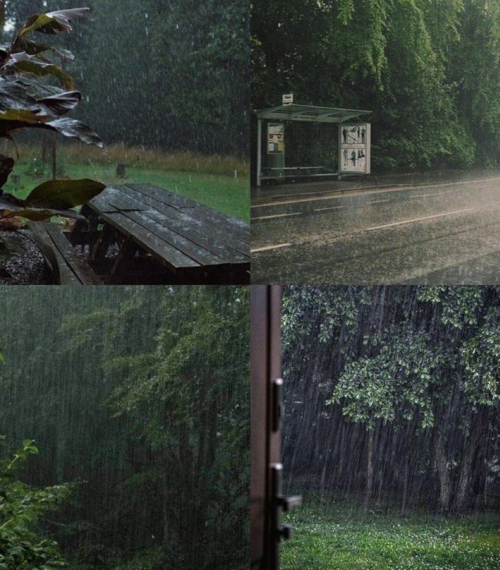 Yağmur sesi ve sonrasında gelen toprak kokusu..