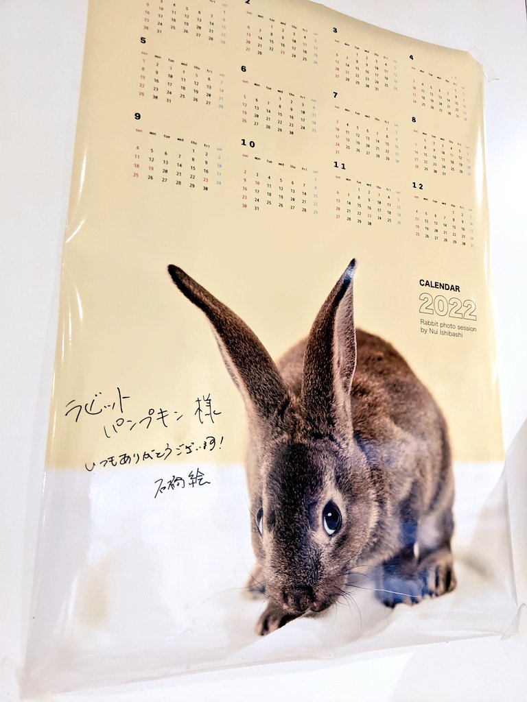 大型うさぎ専門店 RABBIT PUMPKIN on X