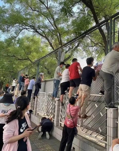 น้องจินงอแง หนูจะไปผ่าฟันคุดแล้วน้า

บีอัส :