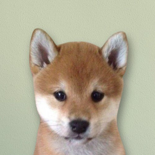 just a $dog on bsc

trenches are cluttered with bs

so it's time to go back to basics

thesis is simple, one $dog to rule them all