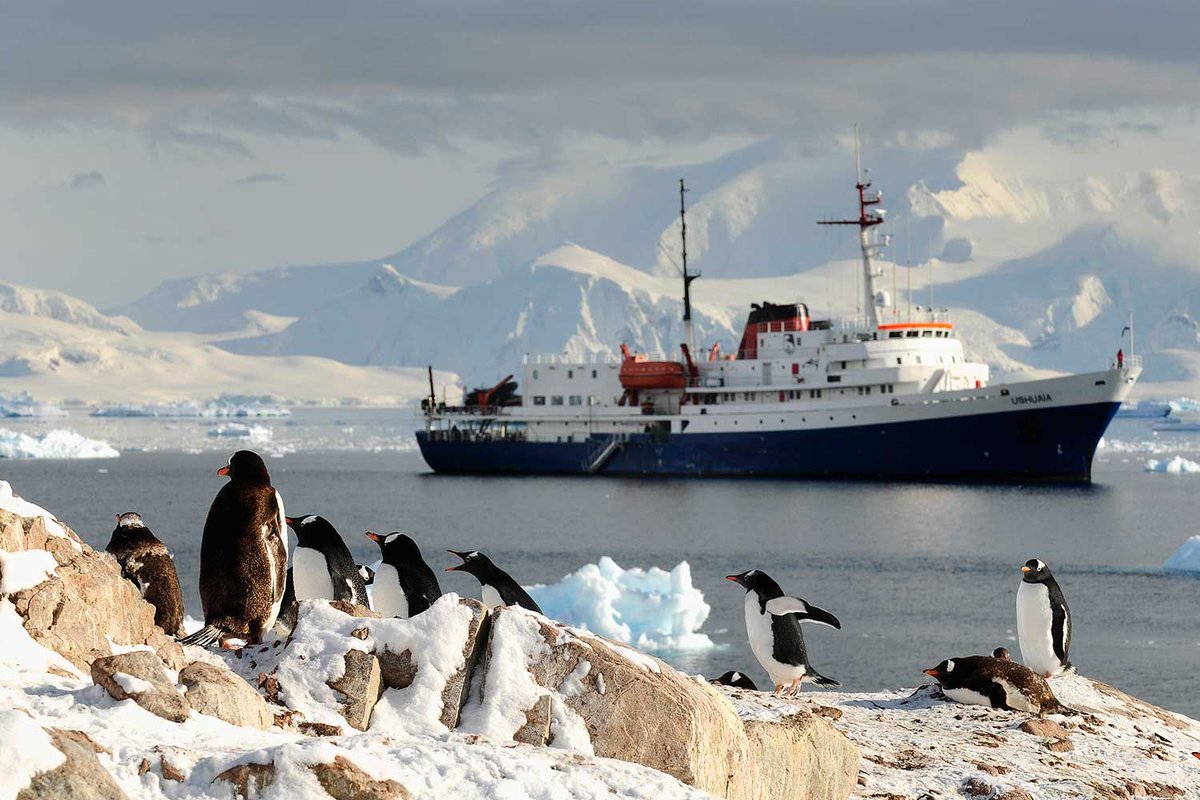 ExpeditionsNow's tweet photo. Set sail for the journey of a lifetime! 🚢
Join the MV Ushuaia on a 10-11 day expedition from Ushuaia to the Antarctic Peninsula &amp; South Shetland Islands. Penguins, whales, glaciers &amp; pure wilderness await. #Antarctica #ExpeditionCruise #AdventureTravel https://t.co/Gjt9mt31gD https://t.co/EowVCFIYdM