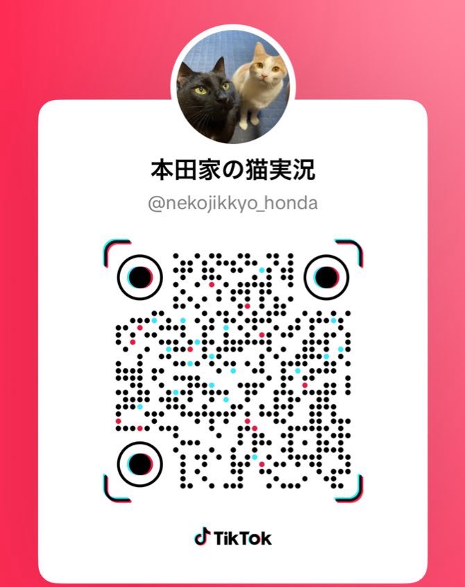 いーきーなーりーですが！

このあと17:05くらいからTikTokライブやります！よかったら観に来てね！
↓↓↓
tiktok.com/@nekojikkyo_ho…